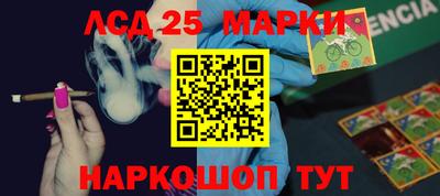 твердый Будённовск