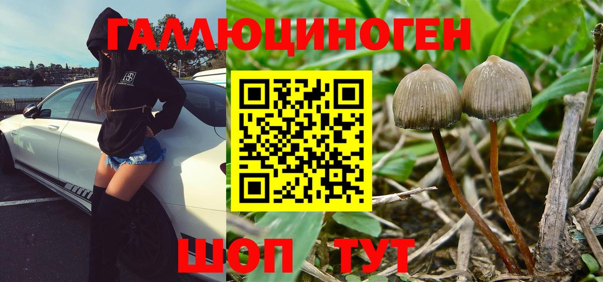Галлюциногенные грибы Magic Shrooms Печора