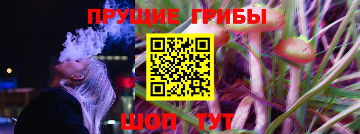 Печора  Галлюциногенные грибы мухоморы  Вход с VPN 
